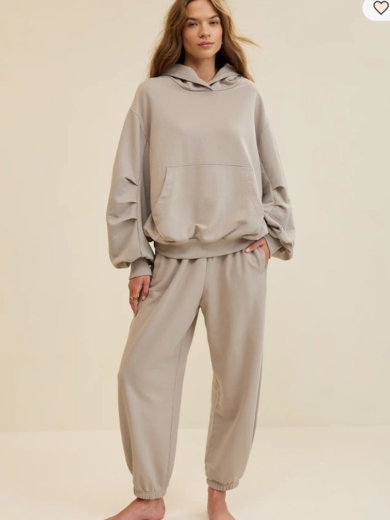 aerie Tops - NWT Aerie Jet Setter Hoodie in Stone Harbor